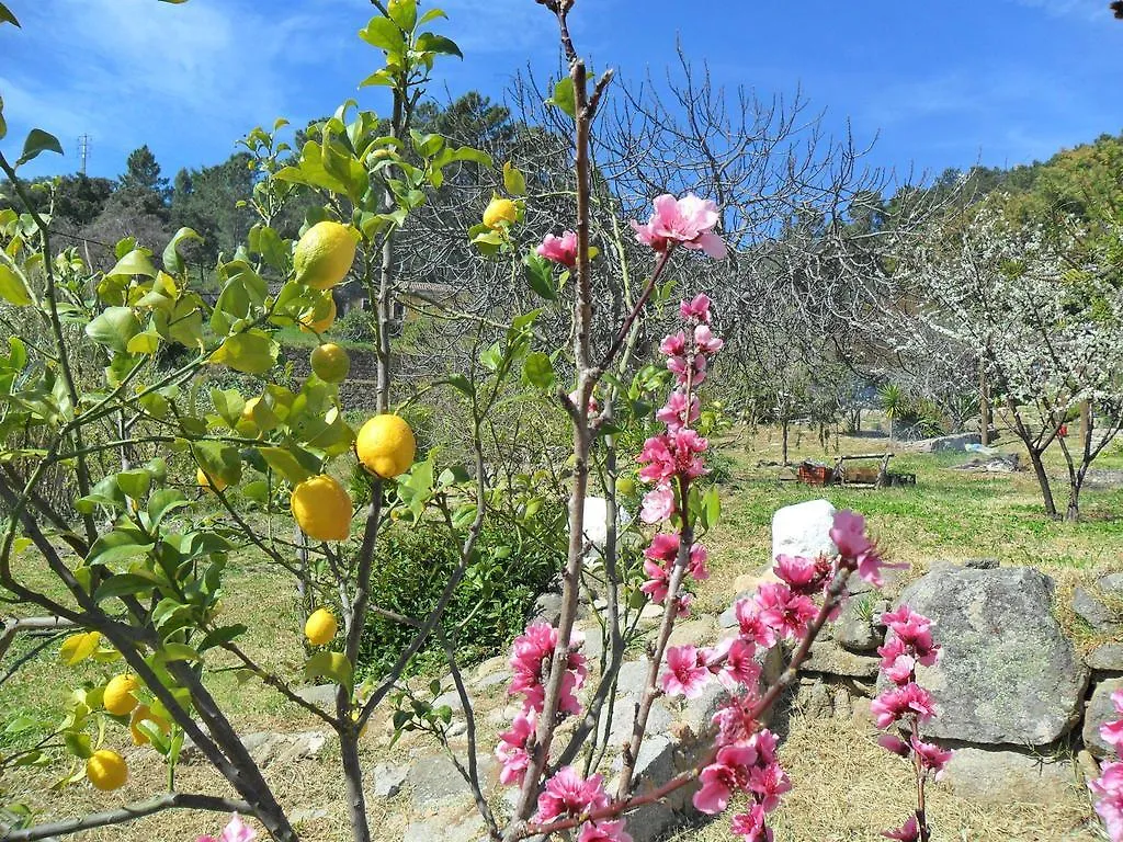 Quinta Do Tempo Turismo Rural Affittacamere Monchique Casa di campagna