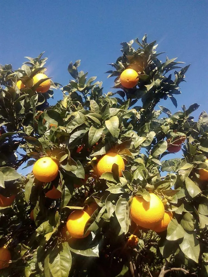 Quinta Do Tempo Turismo Rural Affittacamere Monchique Casa di campagna