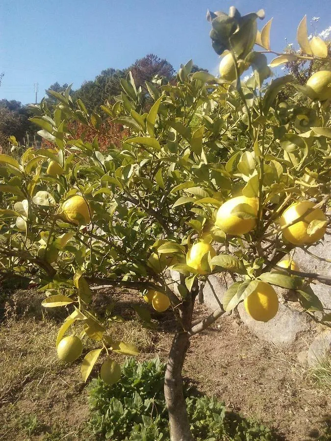 Quinta Do Tempo Turismo Rural Affittacamere Monchique