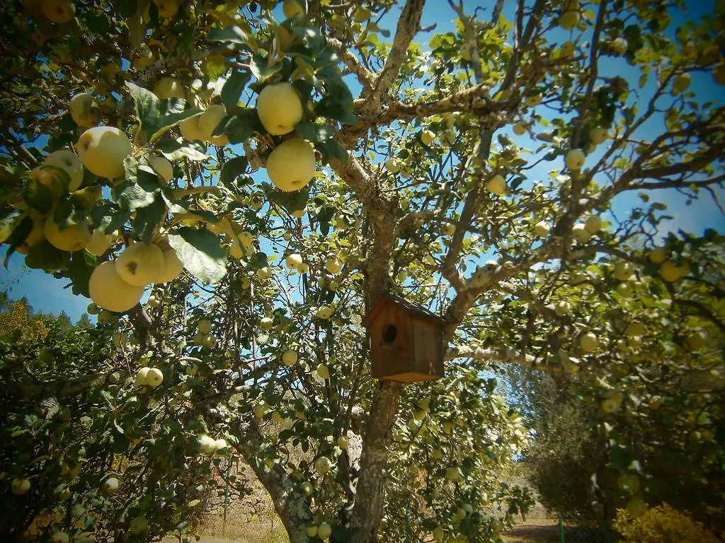 Quinta Do Tempo Turismo Rural Monchique Kır Evi